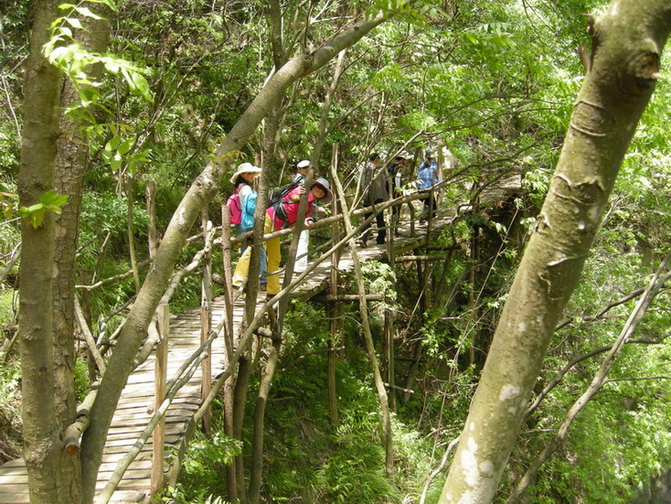 dscn8657.jpg