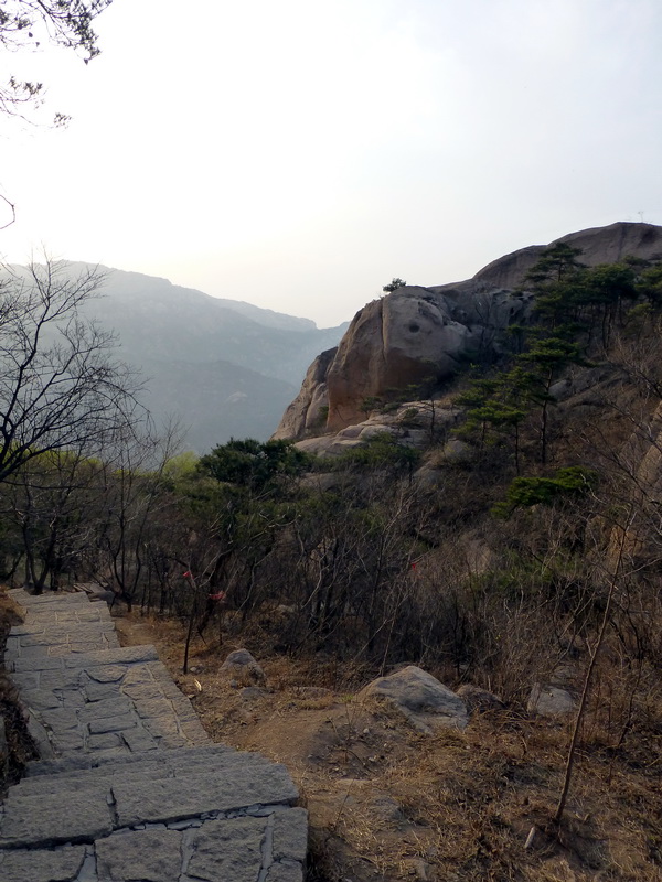 p1050993.jpg