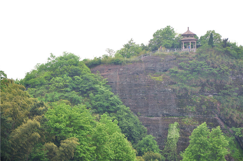 dsc_0308.jpg