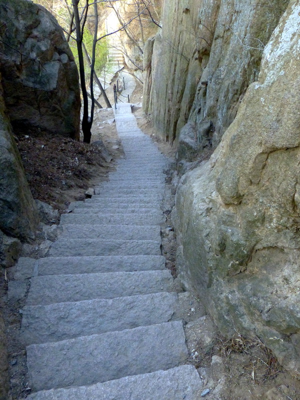 p1060002.jpg