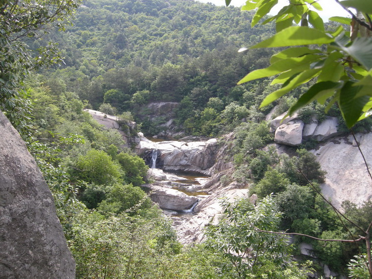 dscn8717.jpg