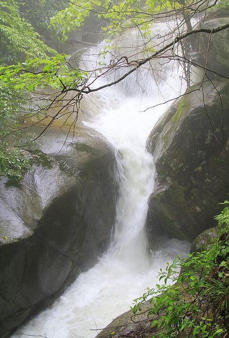 _mg_4824.jpg