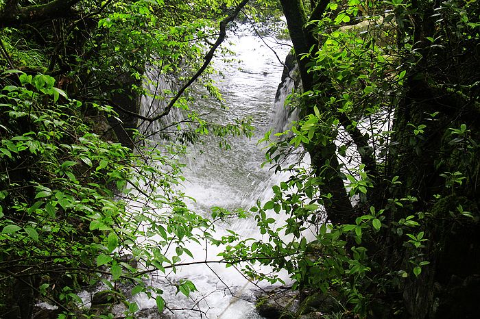 _mg_4803.jpg