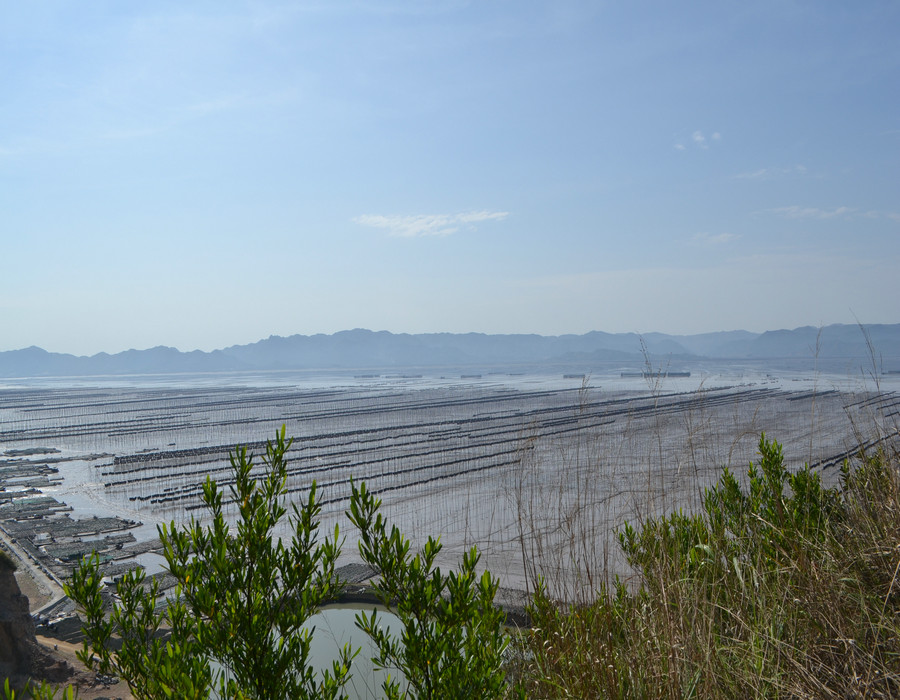 dsc_0804.jpg