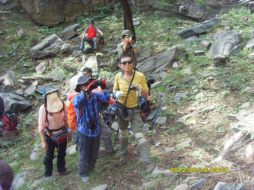 sdc11197__.jpg