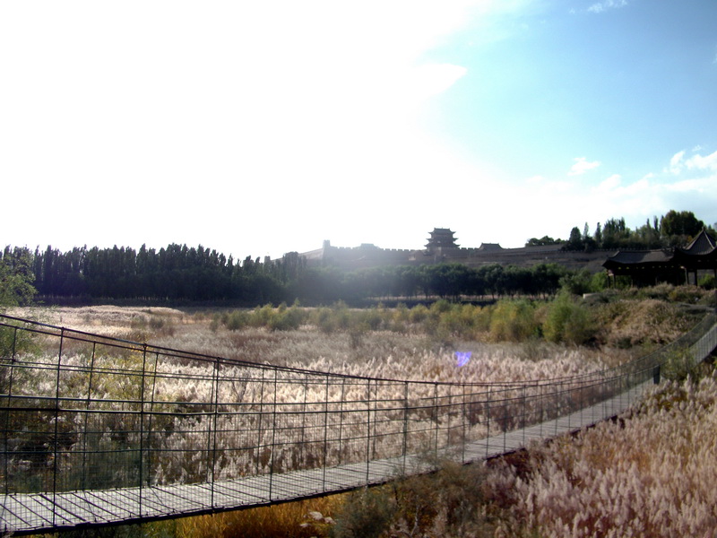 dscf0193.jpg
