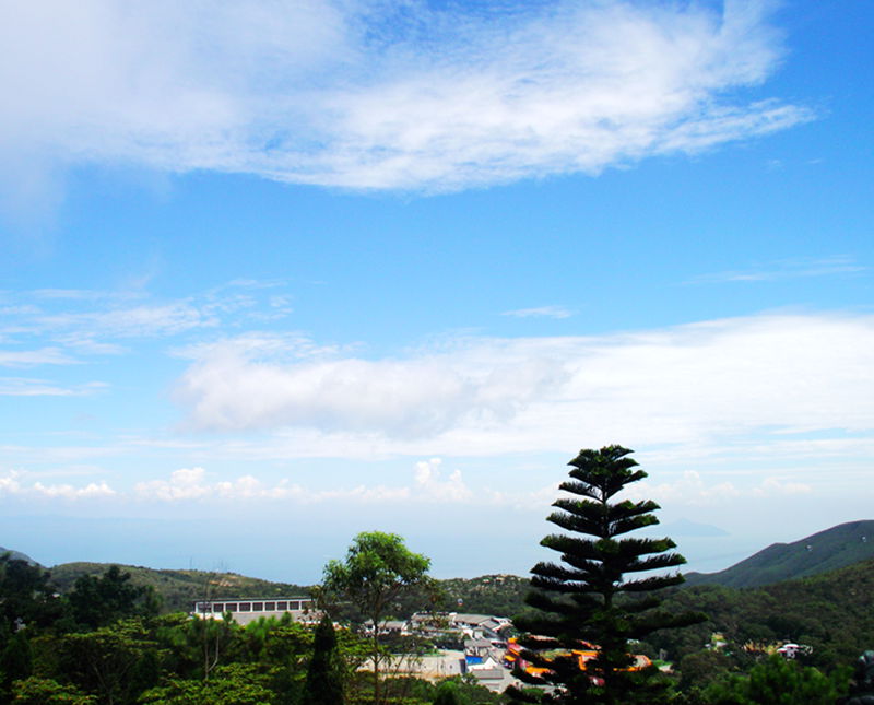 dscf8202.jpg