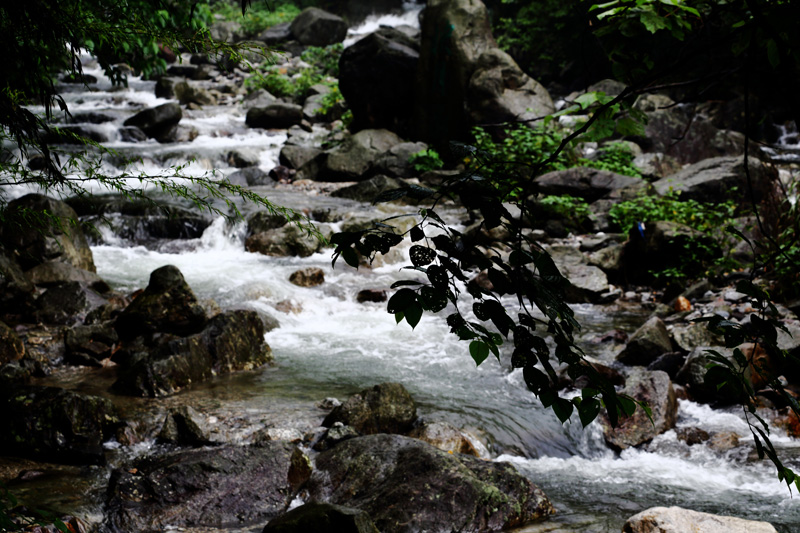 6u0b0670.jpg