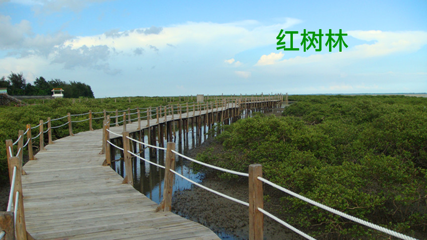 dsc00032_副本.jpg