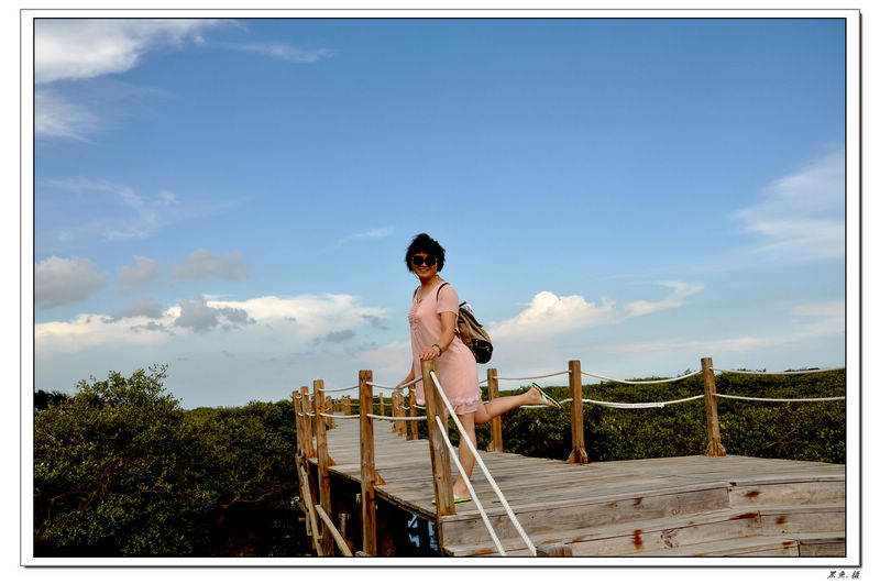 红树林 (26).jpg