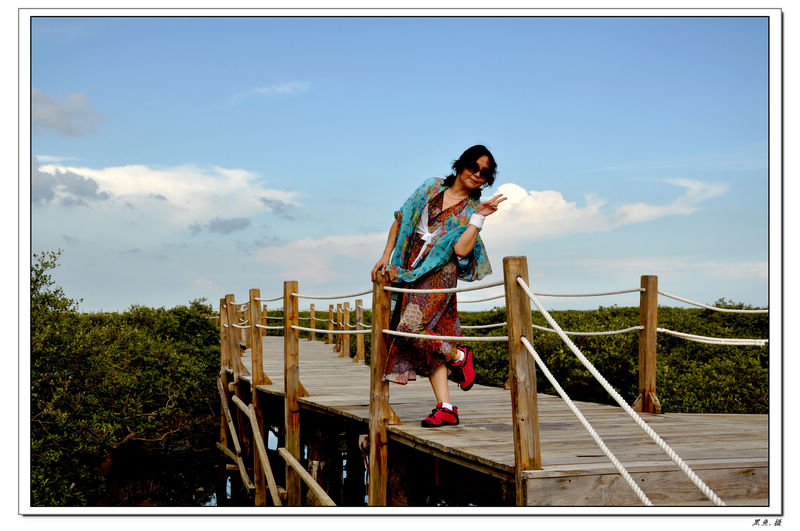 红树林 (25).jpg