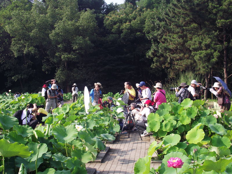dscf8021.jpg