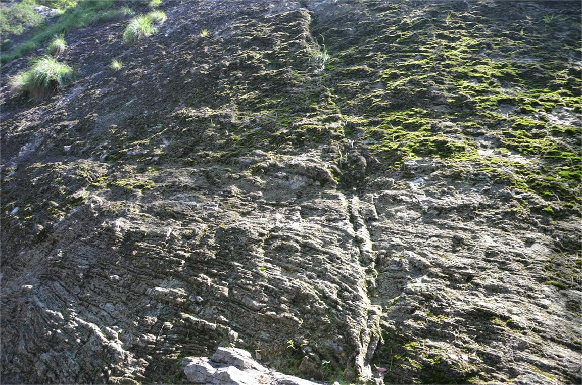 dsc_0168_ͼ.jpg