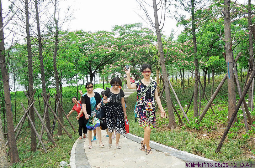 dscn9984.jpg