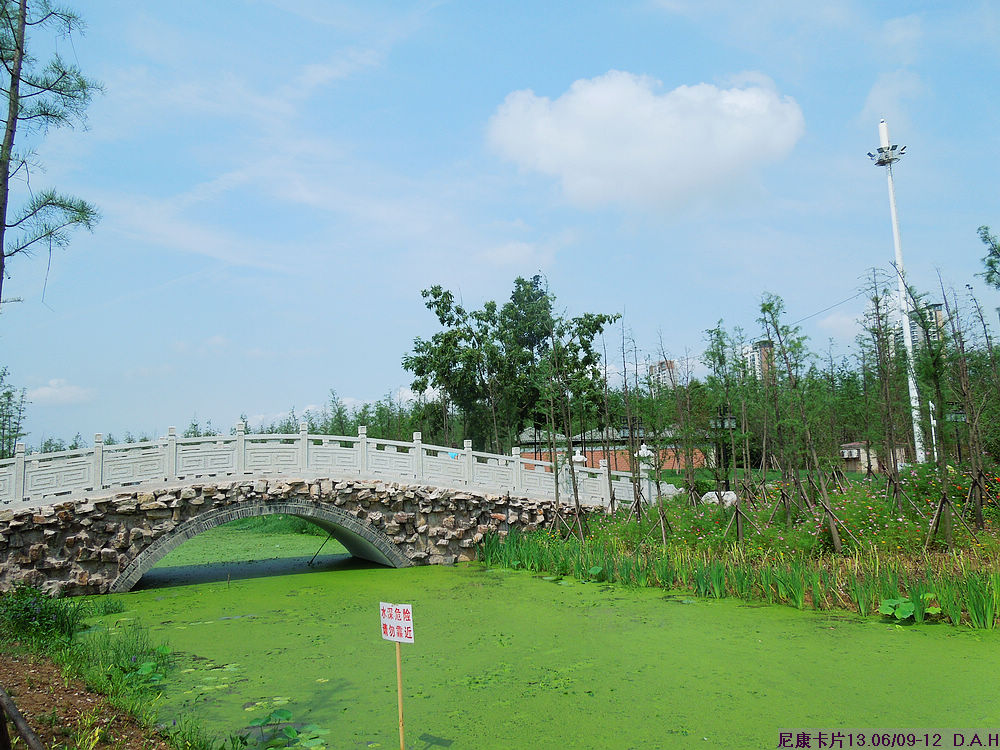 dscn9943.jpg