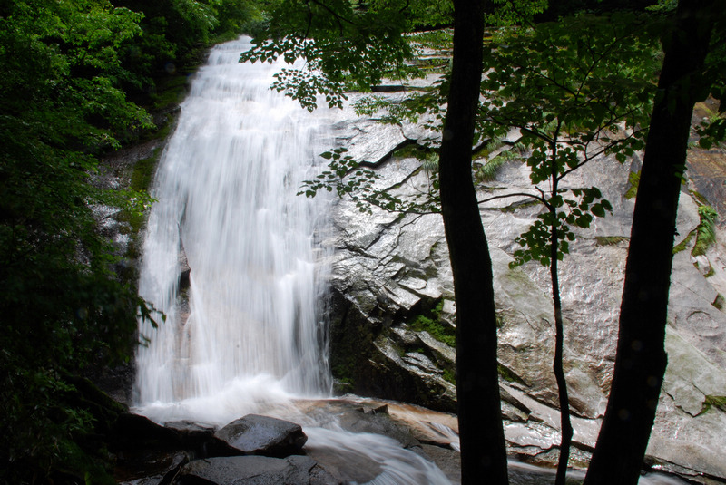 dsc_2354.jpg