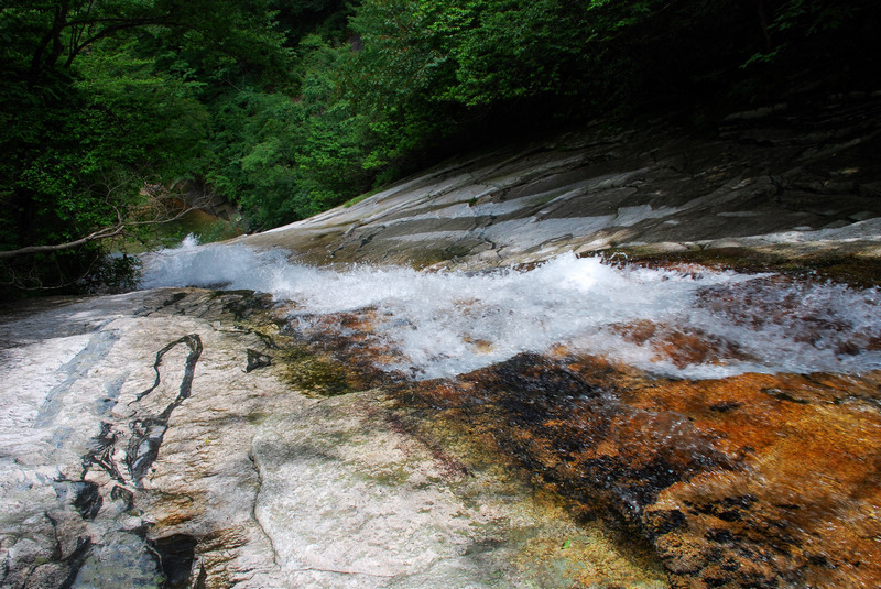 dsc_2360.jpg