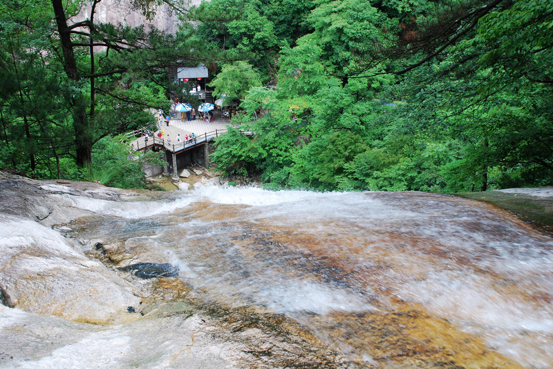 dsc_2379.jpg