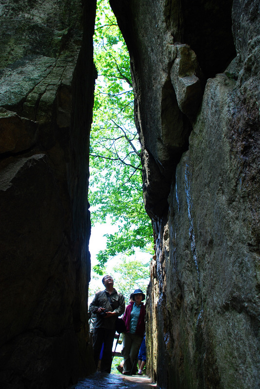dsc_2403.jpg
