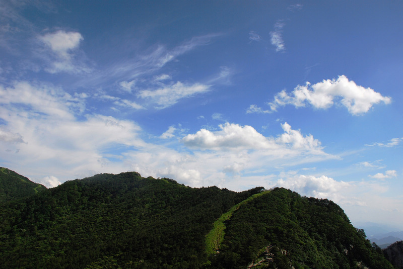 dsc_2492.jpg