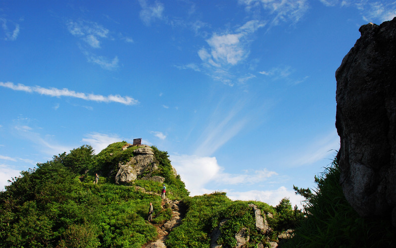 dsc_2542.jpg