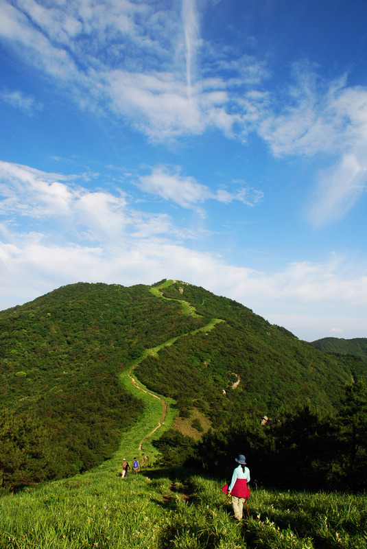 dsc_2559.jpg