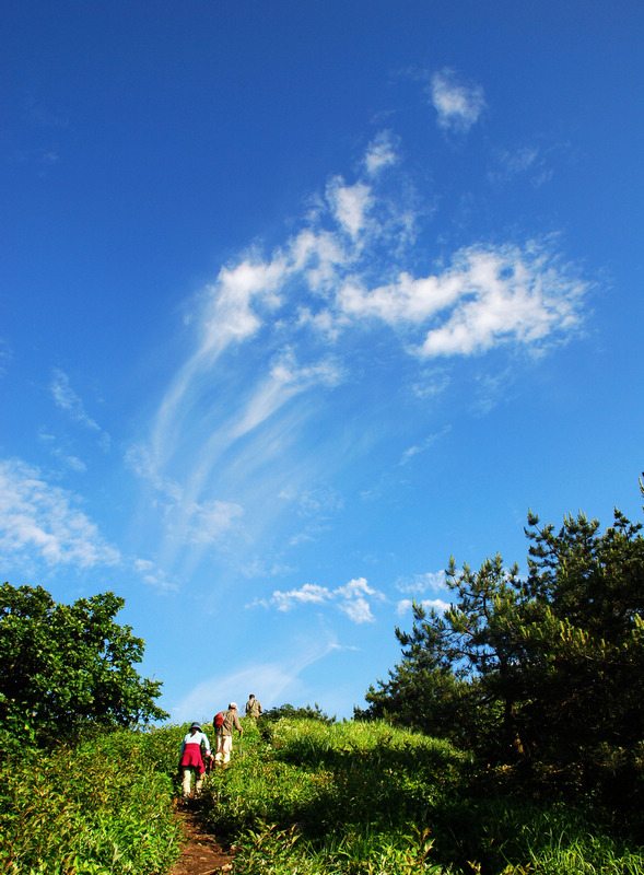 dsc_2565.jpg