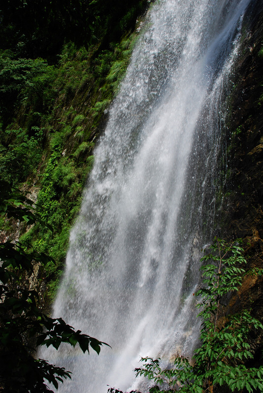 dsc_2425.jpg