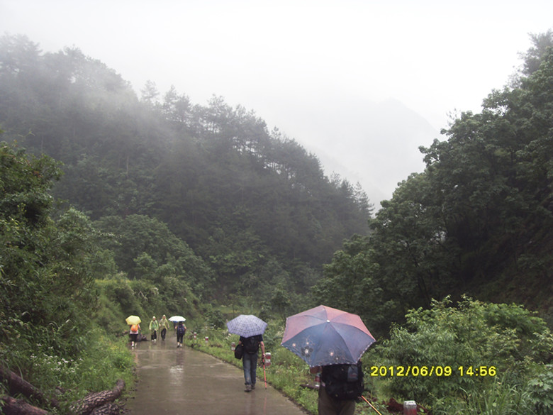 sdc11379_.jpg