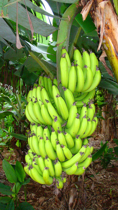 dsc00213_.jpg