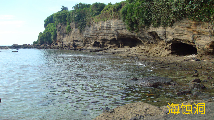 dsc00098_.jpg