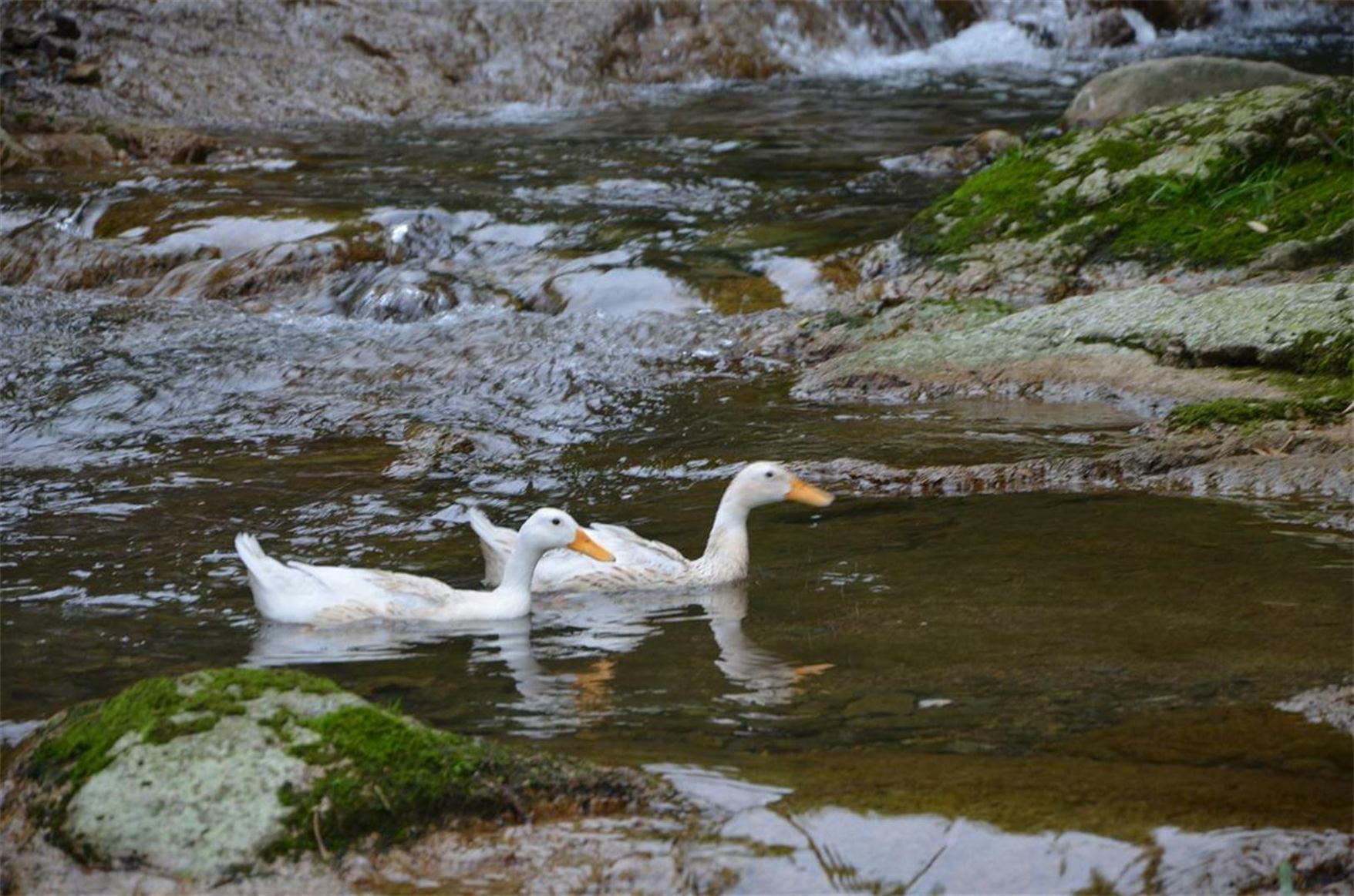 dsc_0470_ͼ.jpg