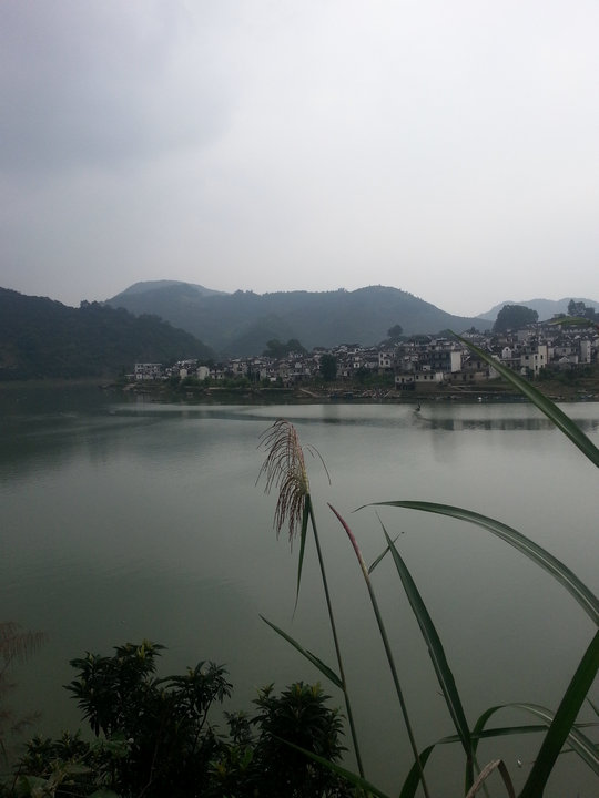 20130612_113702_.jpg