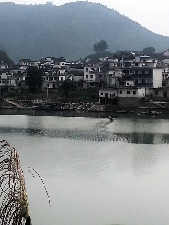 20130612_113721_.jpg