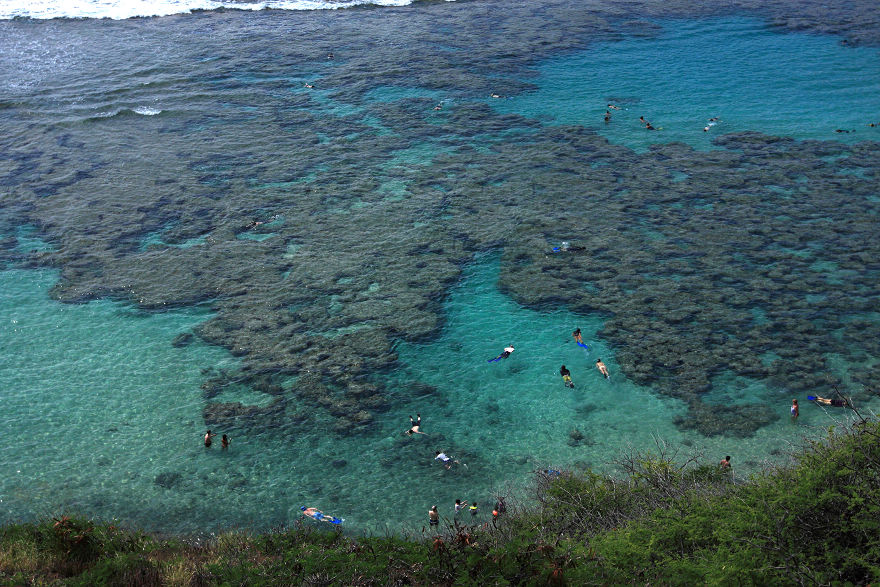 img_7879.jpg