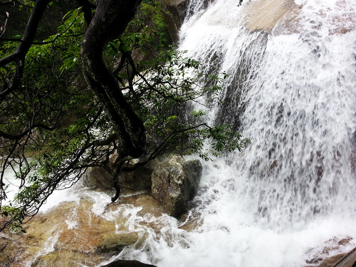 20130611_104854.jpg