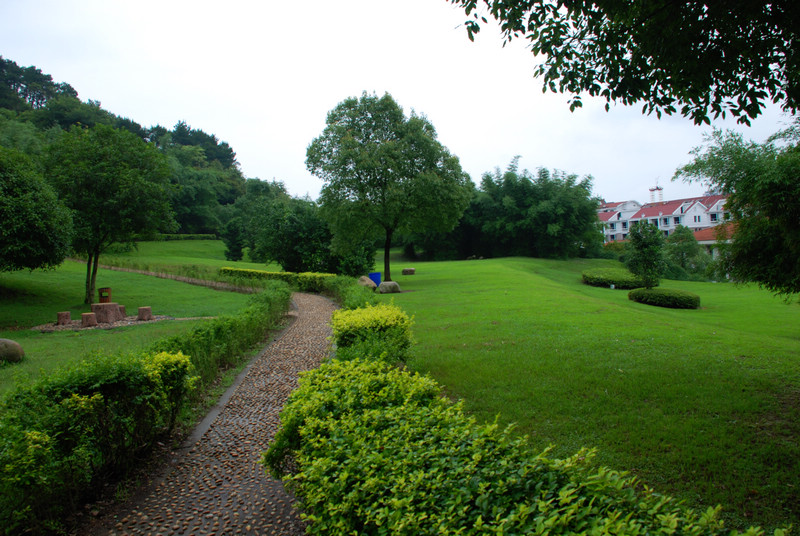 dsc_0005.jpg