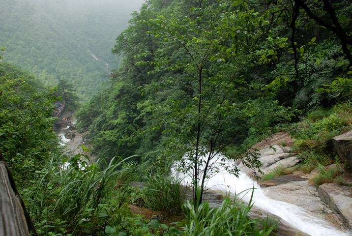 dsc_0141.jpg
