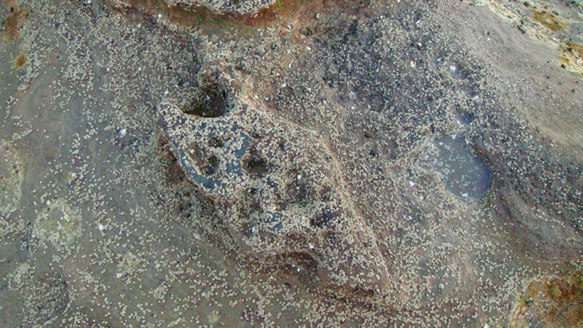 dsc00130_副本.jpg