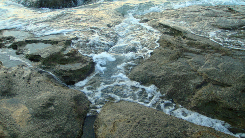 dsc00134_副本.jpg