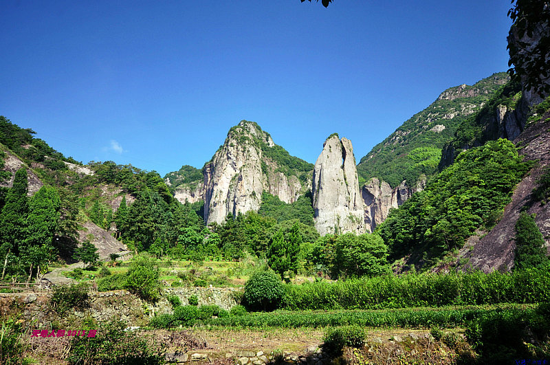 dsc_1052.jpg