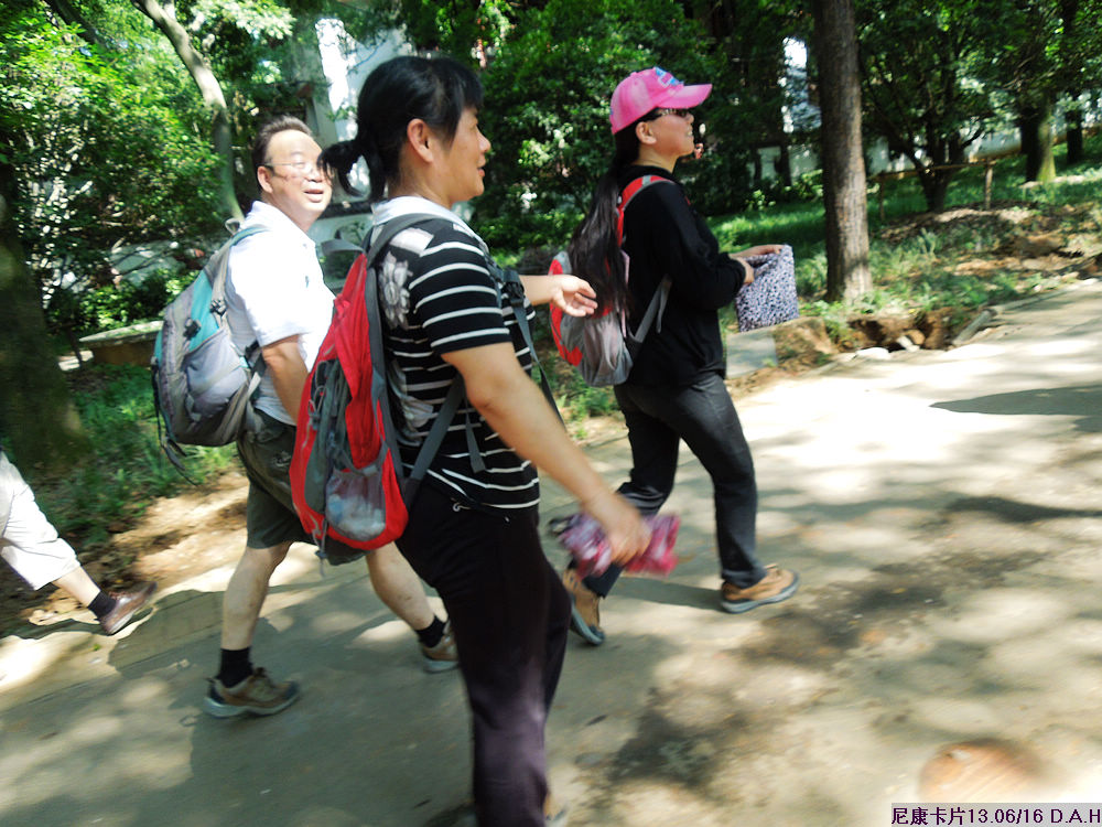 dscn0337.jpg