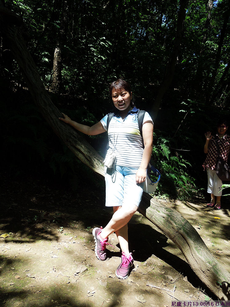 dscn0440.jpg