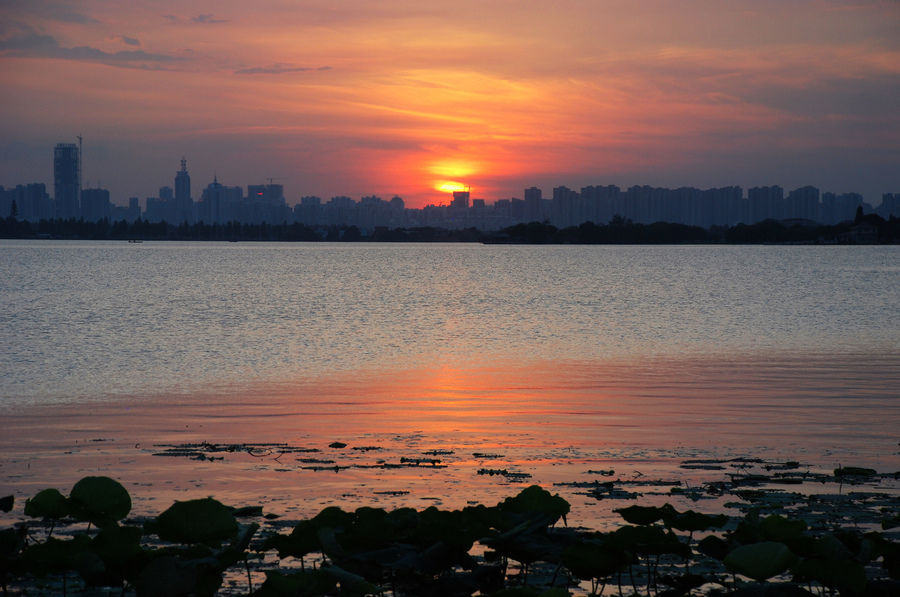 dsc_2873a.jpg