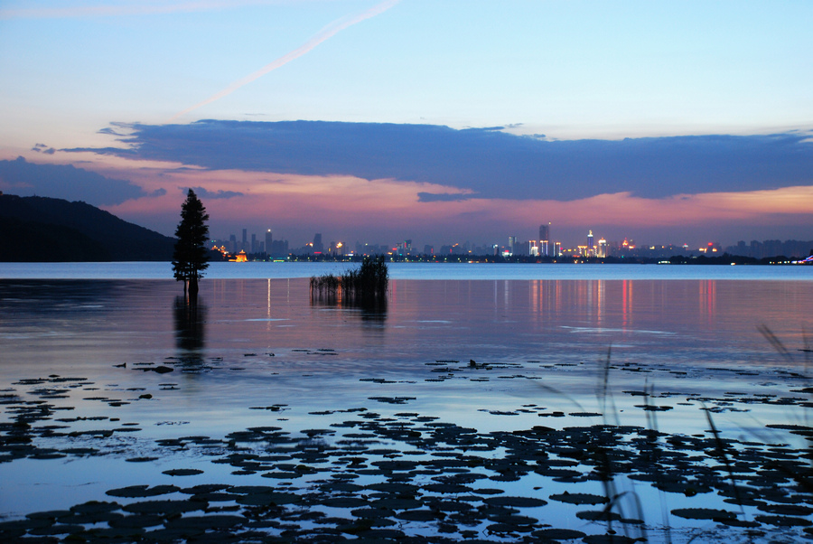 dsc_2929a.jpg