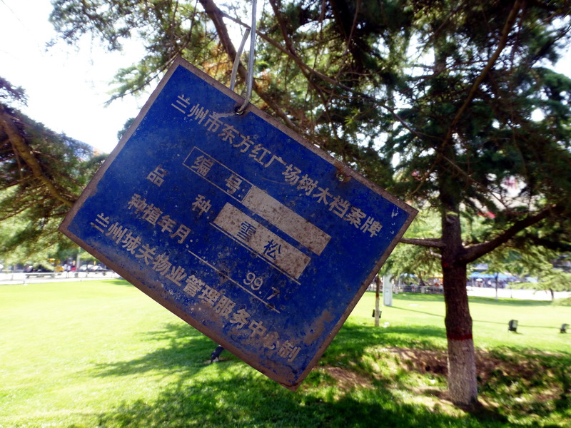 p1080175.jpg