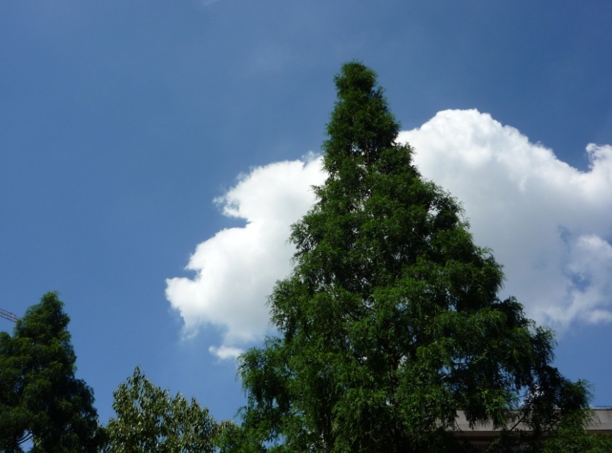 qqͼƬ20130617225328.jpg