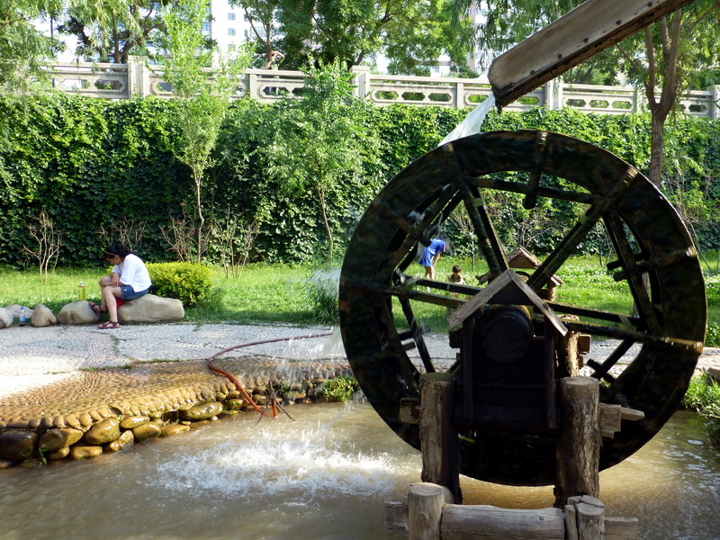 p1080194.jpg