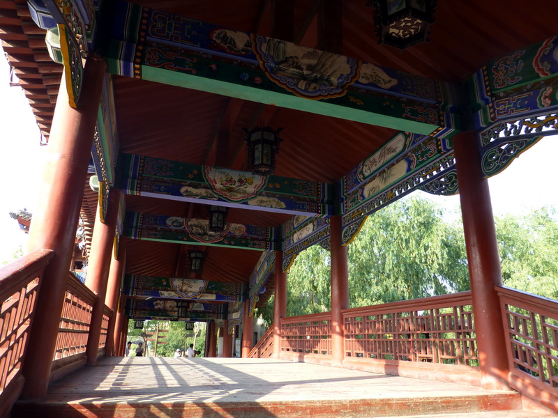 p1080217.jpg