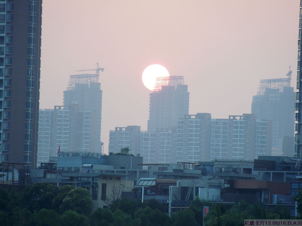 dscn0239.jpg
